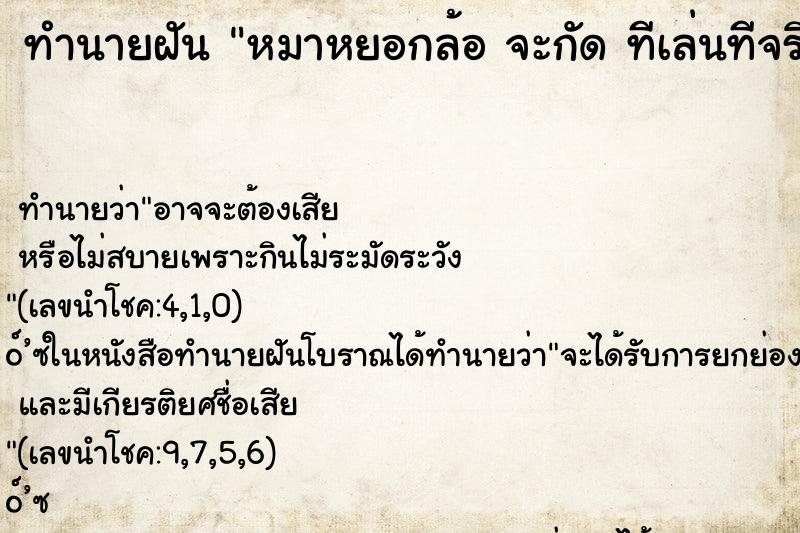 ทำนายฝันทำนายฝันหมาหยอกล้อจะกัดทีเล่นทีจริง